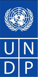 U NITED NATIONS DEVELOPMENT PROGRAMME ANNEX II SERVICE EVALUATION