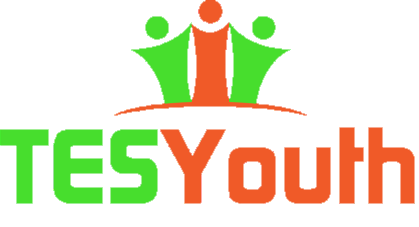JOB DESCRIPTION  CHAIR OF THE BOARD | TESYOUTH