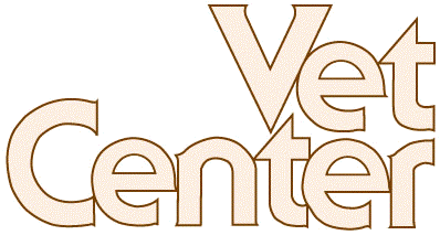 HISTORY OF THE VET CENTER PROGRAM  THE VET