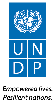 UNITED NATIONS DEVELOPMENT PROGRAMME REGIONAL HUB FOR LATIN AMERICA
