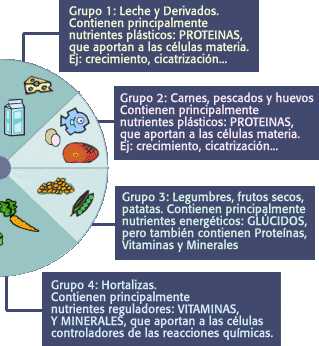 IESMARQUÉS DE VILLENA CURSO 201213 NUTRICIÓN Y ACTIVIDAD FÍSICA
