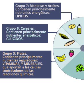 IESMARQUÉS DE VILLENA CURSO 201213 NUTRICIÓN Y ACTIVIDAD FÍSICA