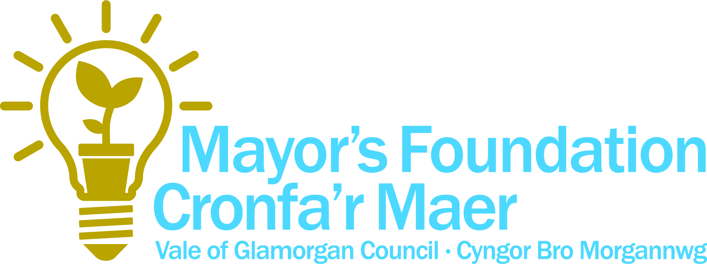GUIDANCE NOTES WHAT IS THE MAYOR’S FOUNDATION GRANT FUND?