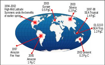 VULNERABILITIES OF THE GLOBAL CARBON CYCLE IN THE 21ST