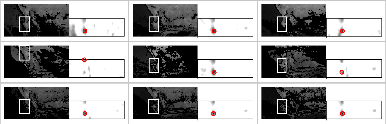 TECHNIQUES FOR MULTIRESOLUTION IMAGE REGISTRATION IN THE PRESENCE OF