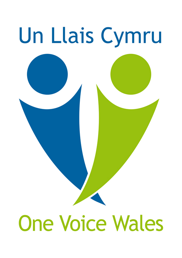 O NE VOICE WALES LARGER COUNCILS CONFERENCE 10 JULY