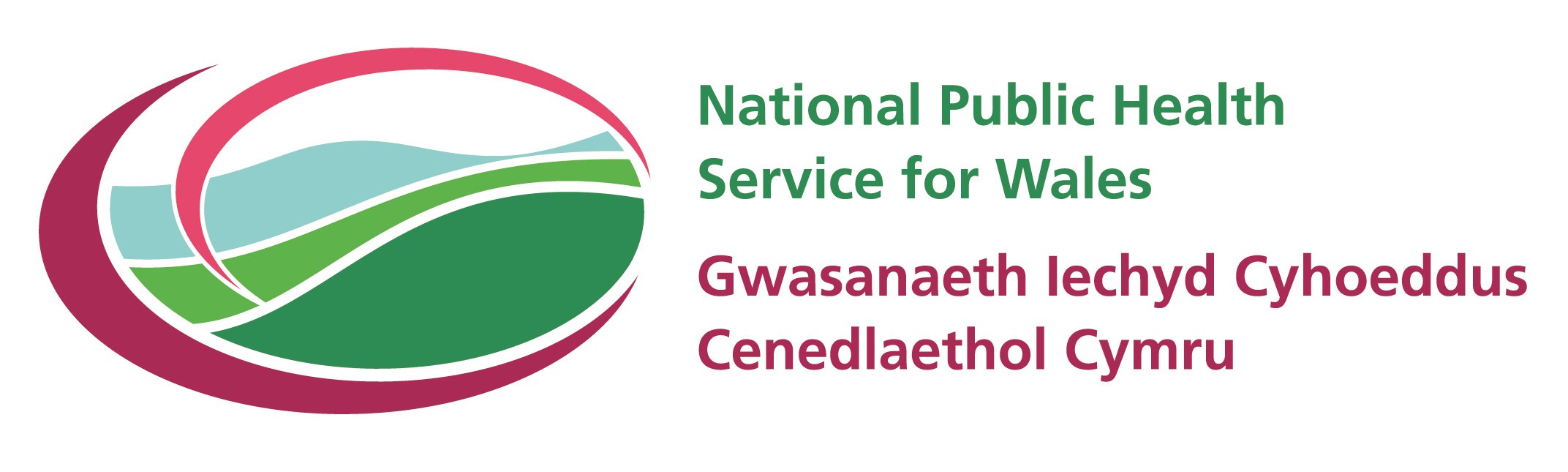 NATIONAL PUBLIC HEALTH SERVICE FOR WALES A RAPID REVIEW