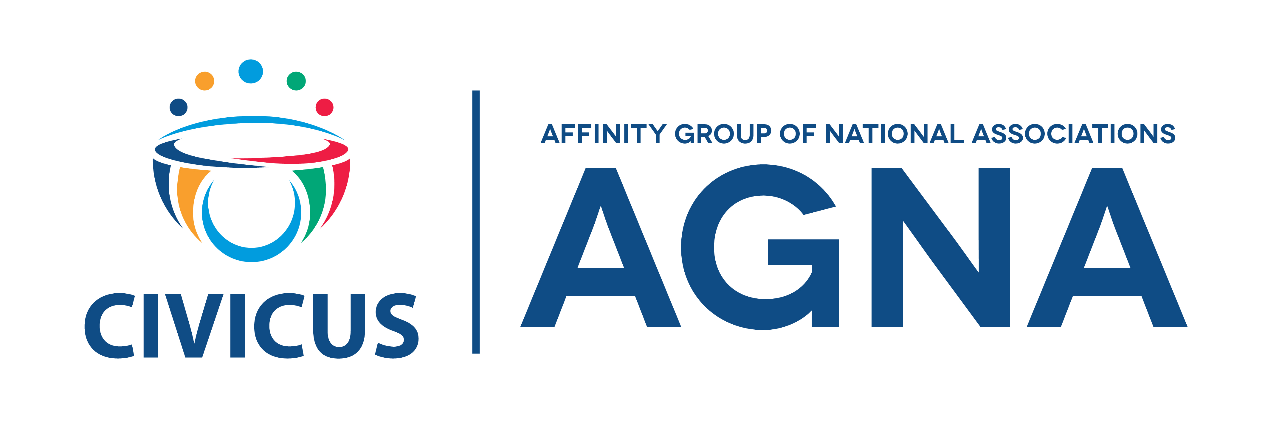 APPLICATION FORM AFFINNITY GROUP OF NATIONAL ASSOCIATIONS 1 PLEASE