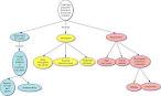 LITERATURE NOTES MIND MAP (GRADES 10&11) CONCEPT MAPPING (OR