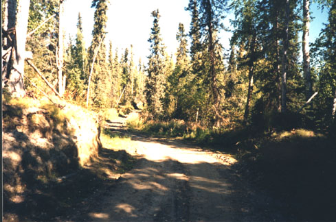 TANANA VALLEY STATE FOREST FOREST ROADS INFORMATION THE STATE