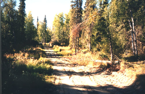 TANANA VALLEY STATE FOREST FOREST ROADS INFORMATION THE STATE