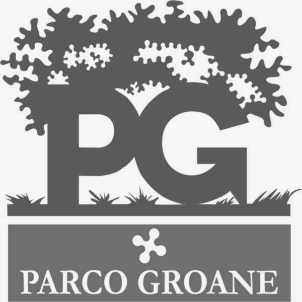 CONSORZIO PARCO GROANE PIANO DI SETTORE FORNACI  NORME