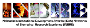 16500 FELLOWSHIP IN BIOMEDICAL RESEARCH  THE INBRE SCHOLAR