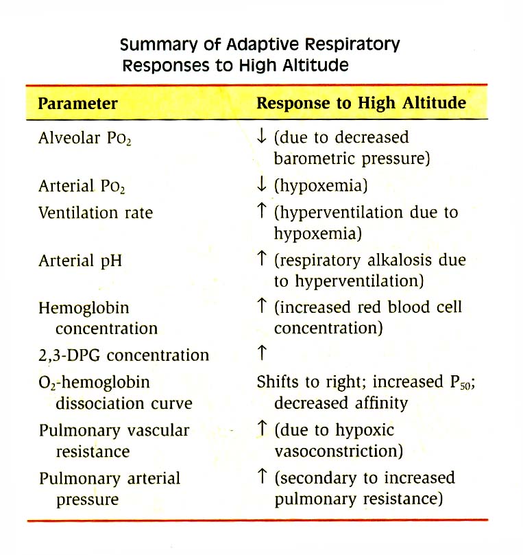 RESPIRATORY ADAPTATIONS IN RESPONSE TO EXERCISE  HIGH ALTITUDE
