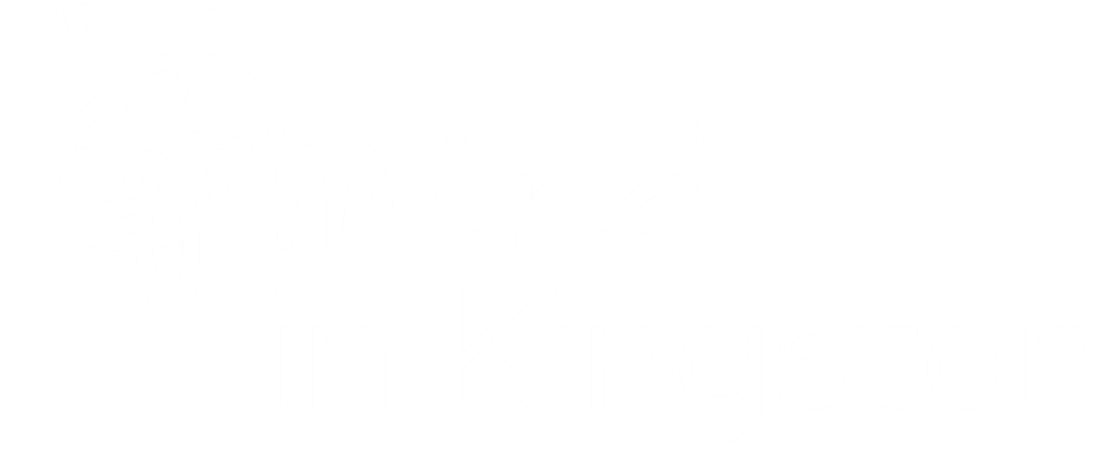 MIND IN KINGSTON EMPOWERING MINDS FORUM VOLUNTEER ROLE DESCRIPTION